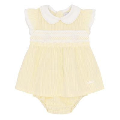 Amore Butterfly Gingham Dress 0072