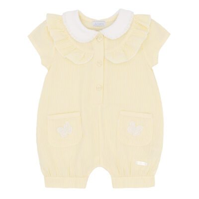 Amore Butterfly Gingham Romper 0073